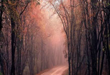  杰森斯坦森战斧行动3 